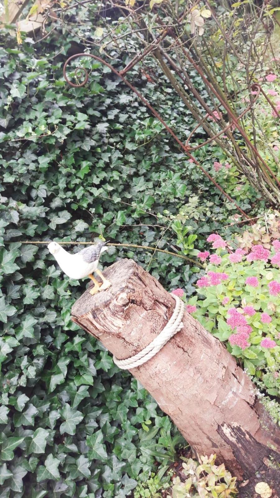 Heimathafen Villa Bordelum Dış mekan fotoğraf